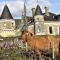 Chateau de la Grave photo 17