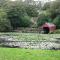 Gardeners Cottage - Llanrhyddlad