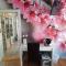 B&B Kerkevelde