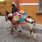 Casa Grande Luxury Boutique Hotel