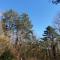 Chalet des pins d'Autriche - Comblain-Fairon