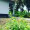 Tommy Homestay