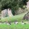 Chateau de Durianne photo 20