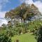 La Ceiba Tree Lodge - Tilarán