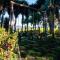 Glamping Portal Del Bosque
