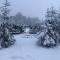 Treehouse Magpies Nest with bubble pool - Avesta