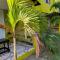 Tha Lagoon Spot - Port Antonio
