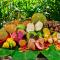 Cape Trib Farm