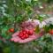 Cape Trib Farm