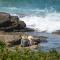 Oceans Mooloolaba