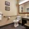 Comfort Inn Shelbyville North