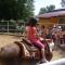 Holiday home with swimming pool, donkeys and horses - Vrlika