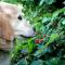 Lily Pad - Hot Tub! Private Dock! BBQ! Game Room! Walk to Town!! Fast WiFi!! Dog Friendly!