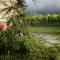 Vineyard Eco Cottage near Dubrovnik