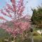 Tianen Farm