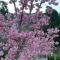 Tianen Farm