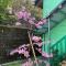 Tianen Farm