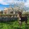 155 Finca Son Rossignol by Mallorca Charme
