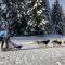 Chalet Le Doux Si, Large Self-Contained Apartment, 2km from Doucy-Combelouvière and close to Valmorel - La Lechere