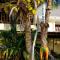 Le lagon bleu guest house by Hyde tide