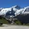 The chalet de la Meije - Facing the Plateau d'Emparis - Ла-Ґрав