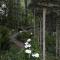 Mountain Meadows Inn & Chalet Suites