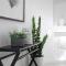Hastings Park: Elegant Noosa Gem by the Beach