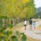 Peppertree Farm Mudgee - 马奇