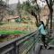 Golden Rock, Dharamshala - AM Hotel Kollection