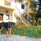 Foto: Apartments Dakovic M 1/54