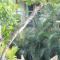 Maligaya Beach Bungalows