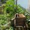 Pun corner homestay