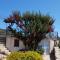 Sardinia Family Villas - Villa Carmen with sea view and pool