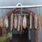 Farm Stay Rotovnik - Plesnik