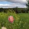 Le bordon