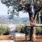 Ayiopetra Exclusive Getaways