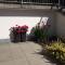 Apartment in Fulpmes - Tirol 711