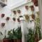 HOSTAL COSTA SOL