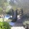 Olive Cottage - Hermanus
