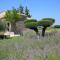 Maison CHENET - Les Chambres Entre Vigne et Garrigue - Teritoria