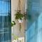 SPA Apartament Sirius house - 圣君士坦丁和海伦那