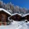 Magic Ski-In-And-Out Chalet above Verbier - Bagnes