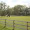 The Shepherds Hut