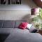 Agave Apartman