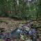 Narrows Escape Rainforest Retreat