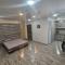 Spacious studio apartment