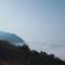 Olivia Homestay Idukki