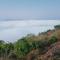 Olivia Homestay Idukki