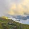 Olivia Homestay Idukki