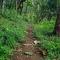 Olivia Homestay Idukki